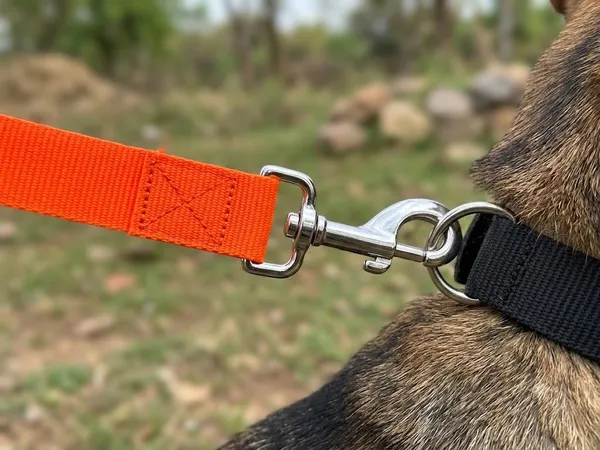 Durable_Nylon_Dog_Leash