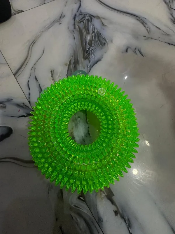 Spiked_Ring_Squeaky_Toy_With_Light