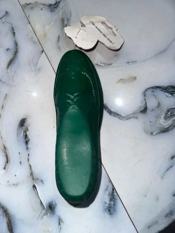 Squeaky_Shoe_Shaped_Toy