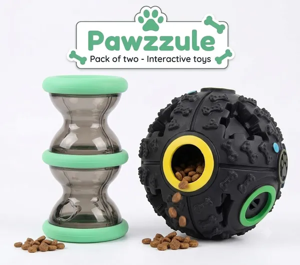 Puzzle_And_Interactive_Toys_Pack_Of_2