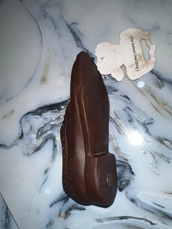 Squeaky_Shoe_Shaped_Toy