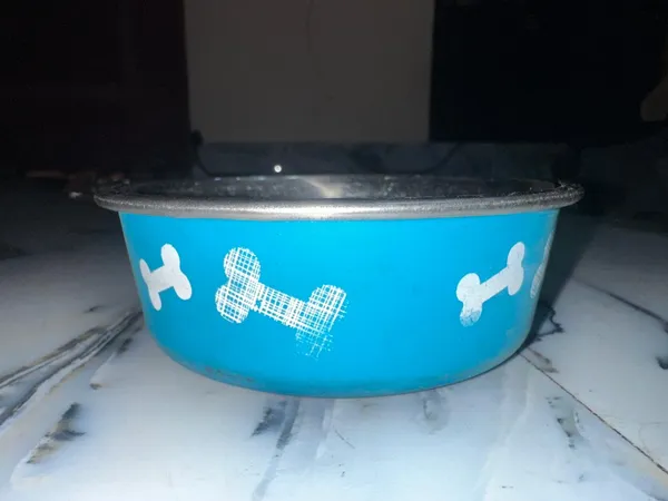Printed_Dog_Feeding_Bowl_Small_Pack_Of_2