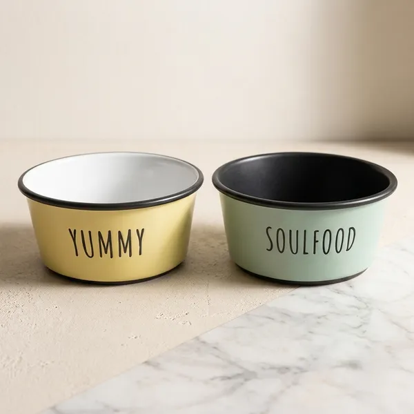 Dog_Feeding_Premium_Bowls_Pack_Of_2