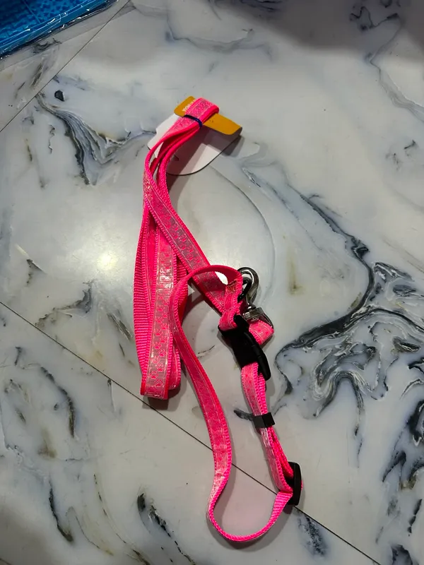 Adjustable_Reflective_Collar_And_Leash_Set