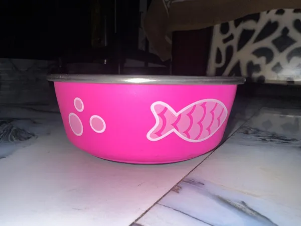 Printed_Dog_Feeding_Bowl_Small_Pack_Of_2