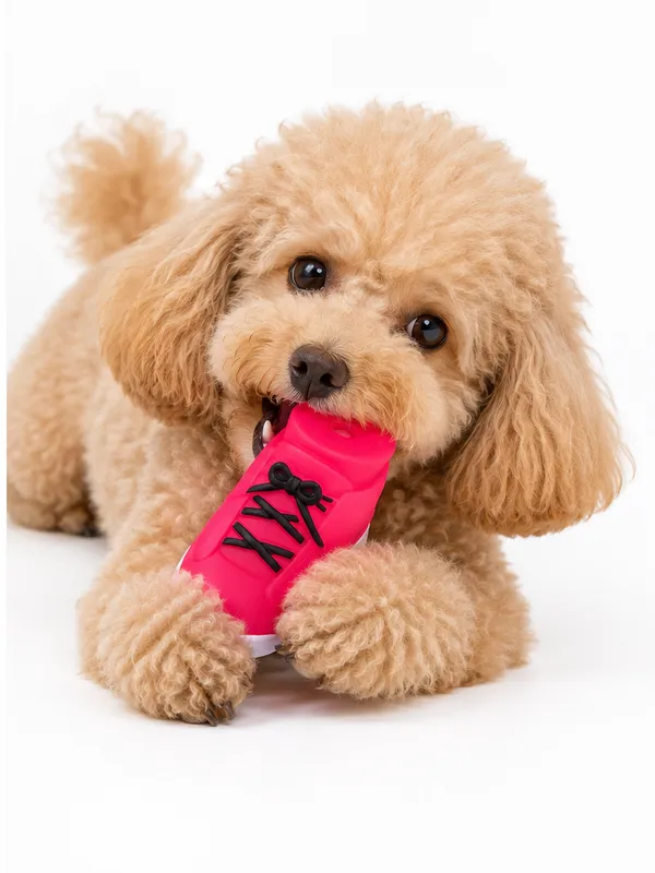 Squeaky_Shoe_toy