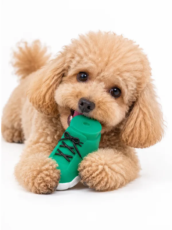 Squeaky_shoe_toy