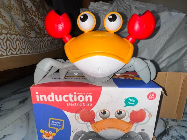 Induction_Electric_Crawling_Crab_Toy