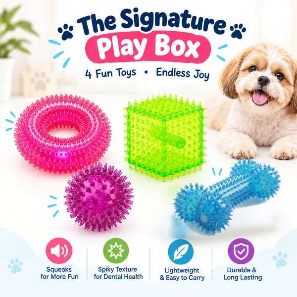 The_Signature_Play_Box_-_Pack_of_4_premium_toys