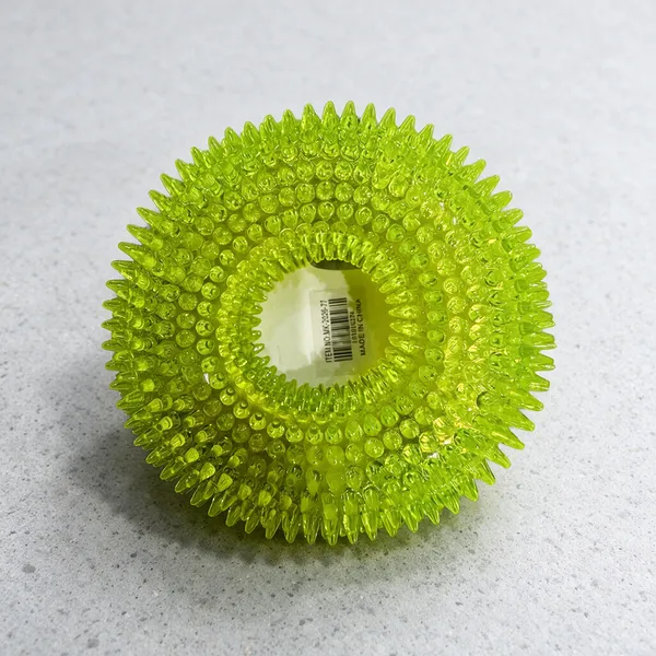 Spiked_Ring_Squeaky_Toy_With_Light