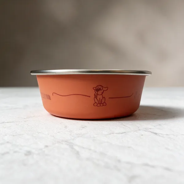 Printed_Dog_Feeding_Bowl_Small_Pack_Of_2