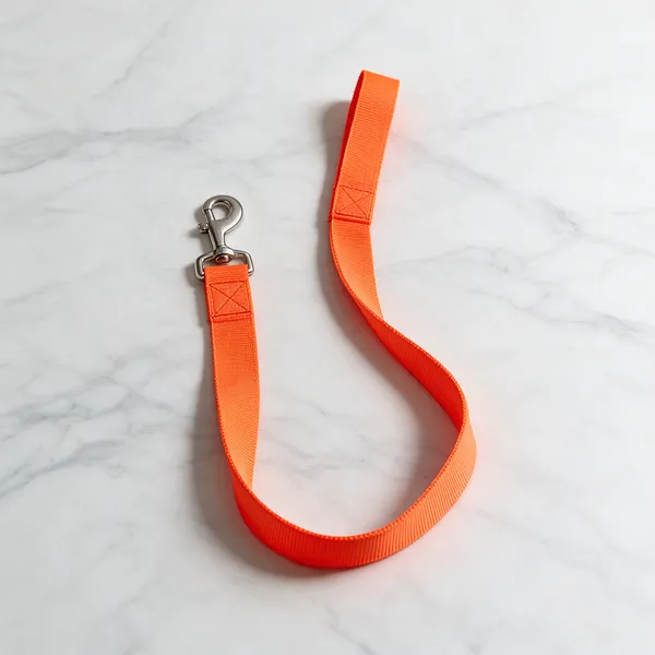 Dog_Leash_Big_Pack_Of_2