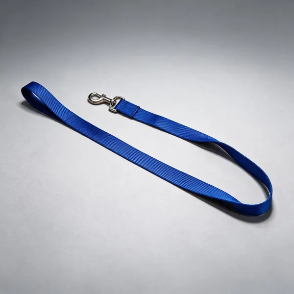 Dog_Leash_Big_Pack_Of_2
