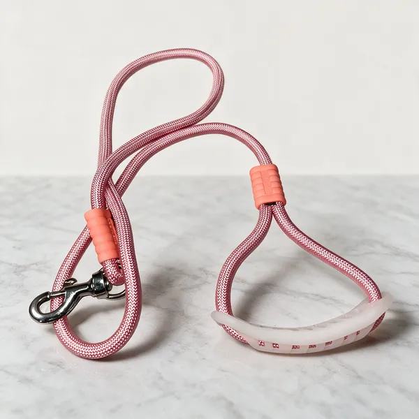 Dog_Rope_Leash_With_Comfortable_Handle_Pack_Of_2