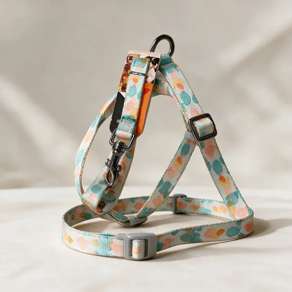 Adjustable_Printed_Dog_Collar_And_Leash_Set