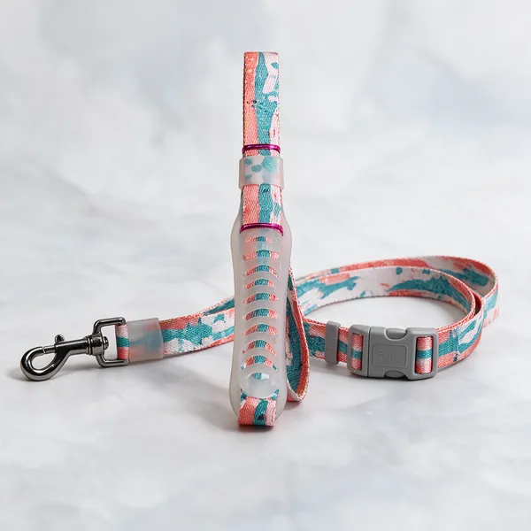 Adjustable_Printed_Dog_Collar_And_Leash_Set