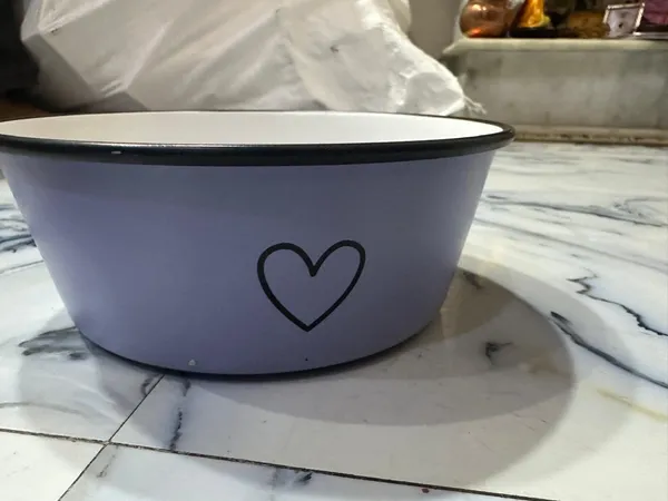 Dog_Feeding_Bowls_Medium_Pack_Of_2