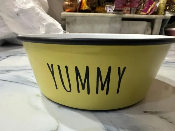 Dog_Feeding_Bowls_Medium_Pack_Of_2