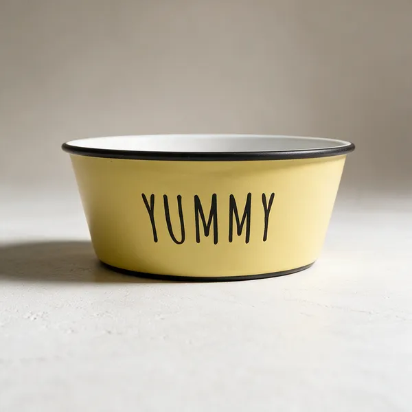 Dog_Feeding_Bowls_Medium_Pack_Of_2