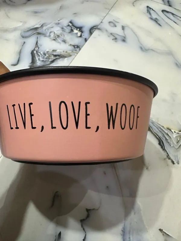 Dog_Feeding_Bowls_Pack_Of_2_-_Medium