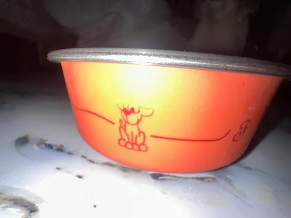 Printed_Dog_Feeding_Bowl_Small_Pack_Of_2