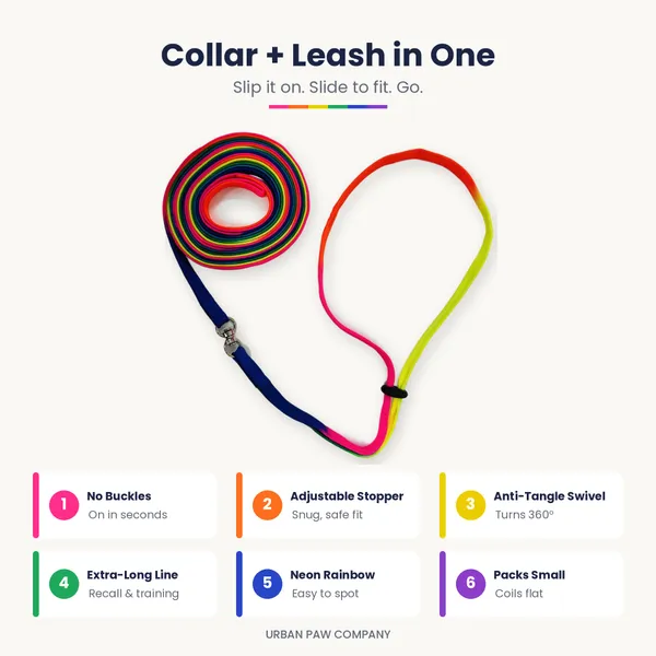 Rainbow_Slip_Lead:_2-in-1_Collar_&_Long_Training_Leash