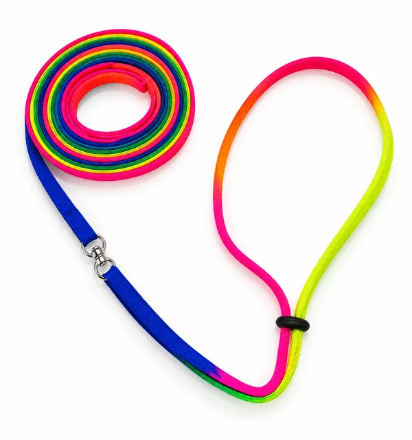 Rainbow_Slip_Lead:_2-in-1_Collar_&_Long_Training_Leash