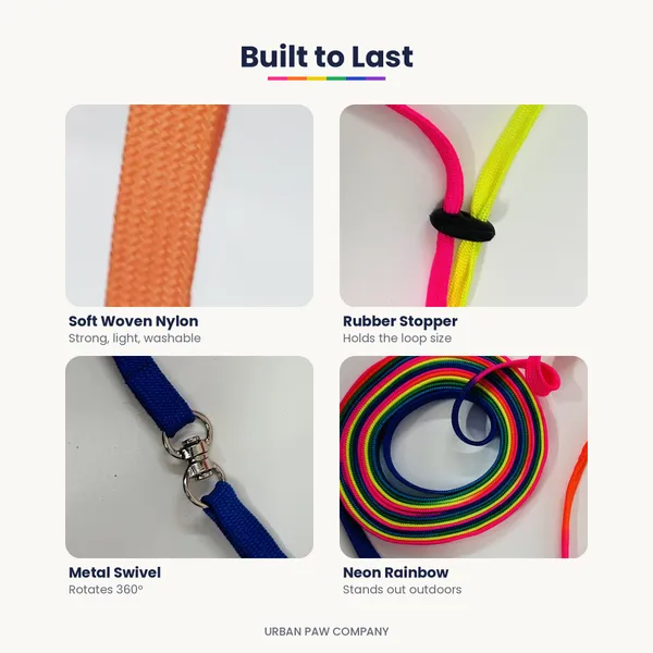 Rainbow_Slip_Lead:_2-in-1_Collar_&_Long_Training_Leash