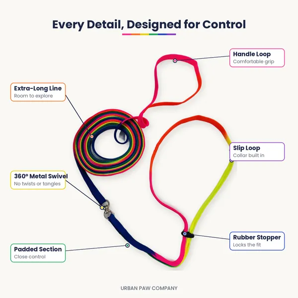 Rainbow_Slip_Lead:_2-in-1_Collar_&_Long_Training_Leash
