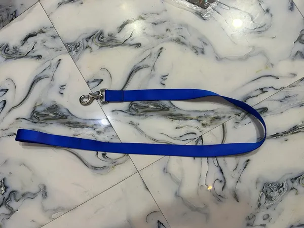 Dog_Leash_Big_Pack_Of_2