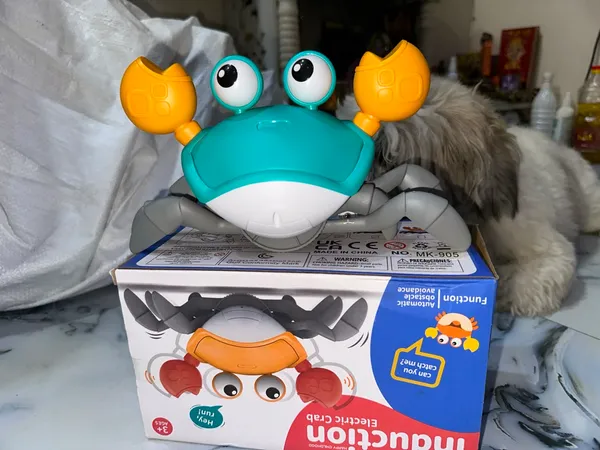 Multicolor_Electronic_Crab_Toy