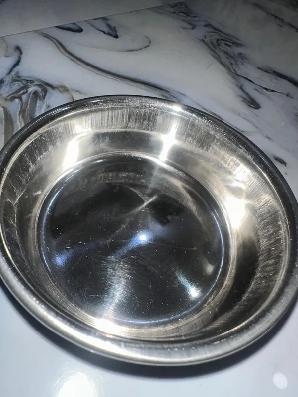 Printed_Dog_Feeding_Bowl_Small_Pack_Of_2