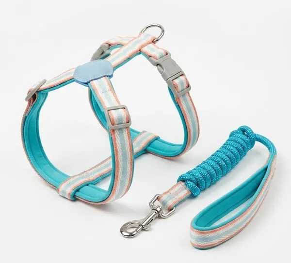 Adjustable_Pet_Harness_And_Leash_Set