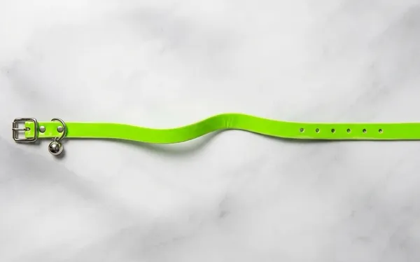 Adjustable_Pet_Collar_With_Bell_Pack_Of_2