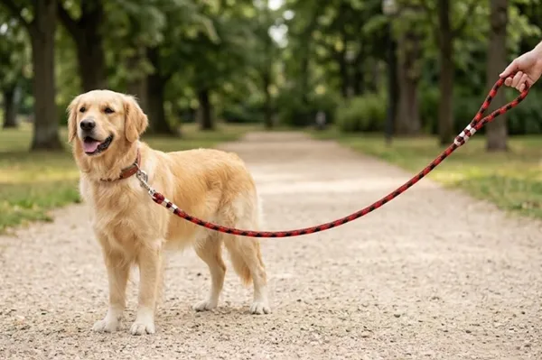 Nylon_Rope_Leash_for_dogs