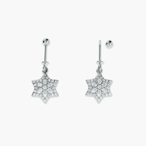 Celestial_Bloom_Earrings_Silver_925