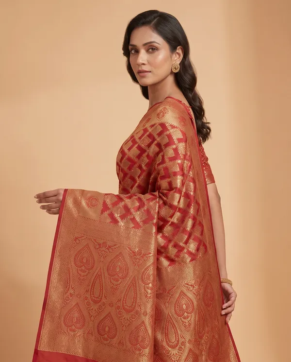 Organza_Brocade_Festive_Saree