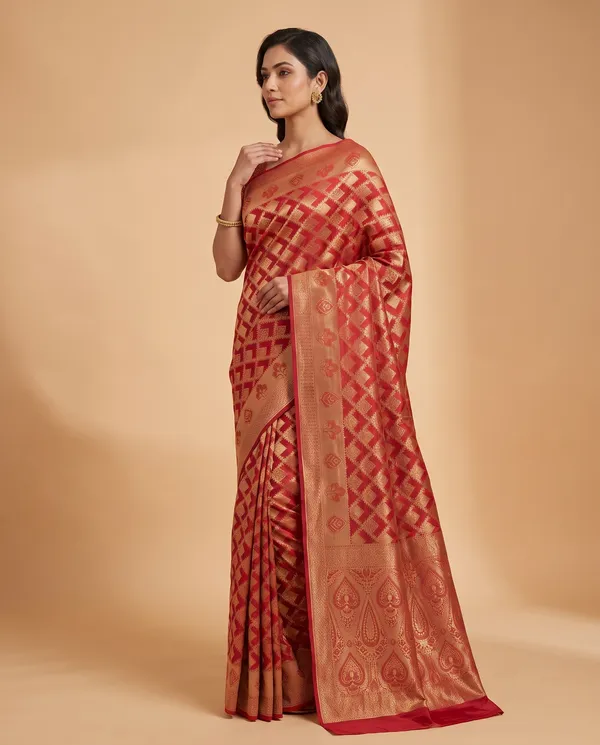 Organza_Brocade_Festive_Saree