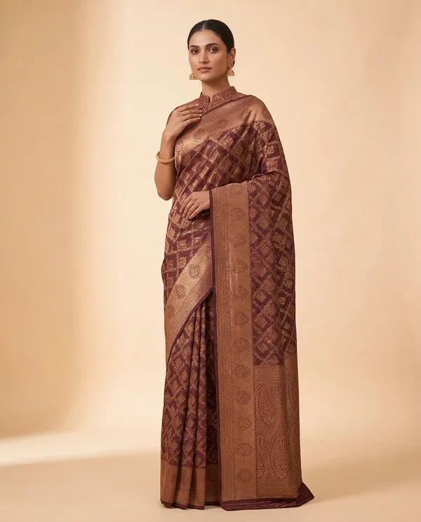 Organza_Brocade_Festive_Saree