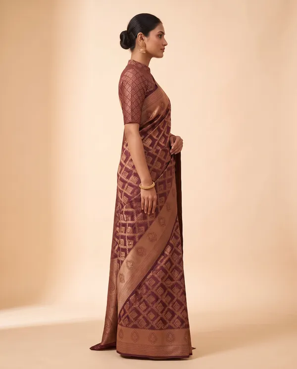 Organza_Brocade_Festive_Saree