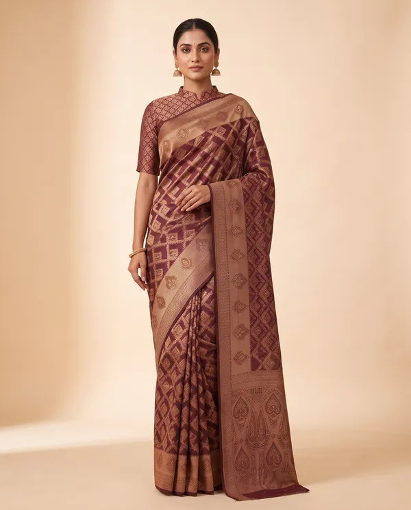 Organza_Brocade_Festive_Saree