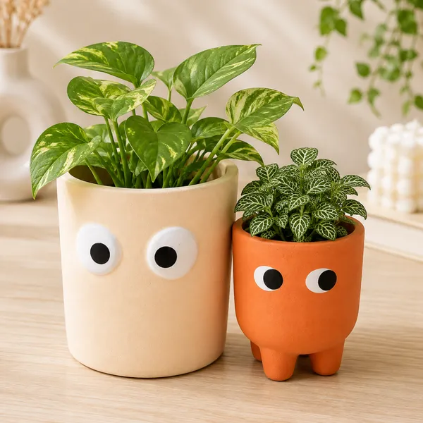 Petite_Form_Decorative_Planter_Set_of_2
