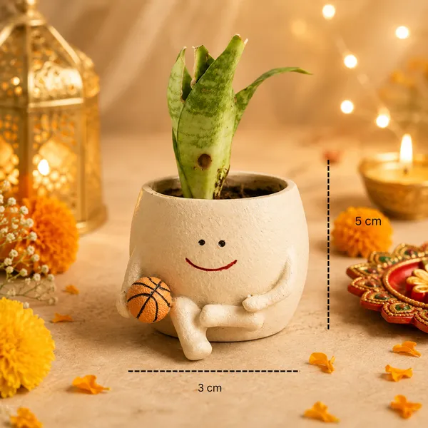 Festive_Bloom_Basket_Planter_Matka_Soy_Wax_Candle_Diwali_Set