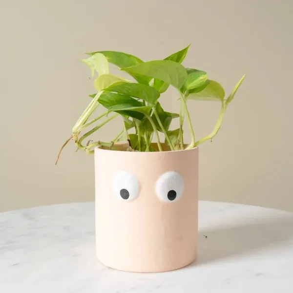 Festive_Peach_Muse_Face_Planter_Set_Of_2