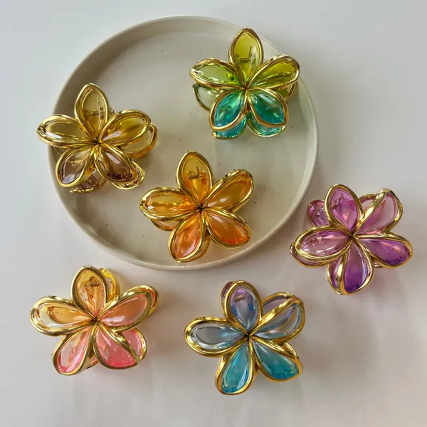 Crystal_Flower_Hair_Claw_Bronze_Large_Medium_Pack_Of_6