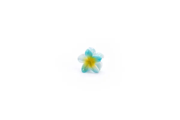 Shaded_Tropical_Small_Ocean_Blue_Large_Medium_Single