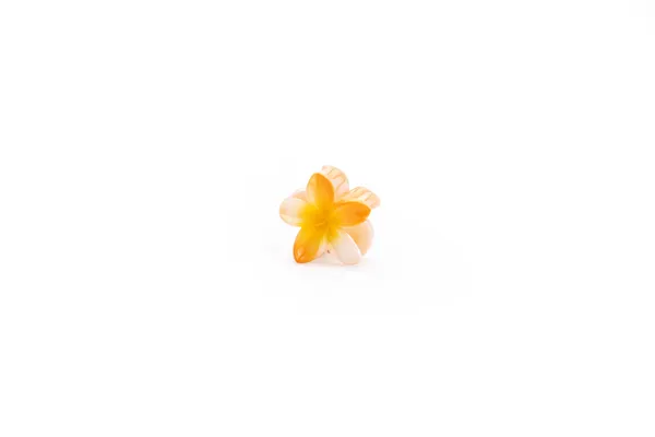 Shaded_Tropical_Small_Sunset_Orange_Large_Medium_Single