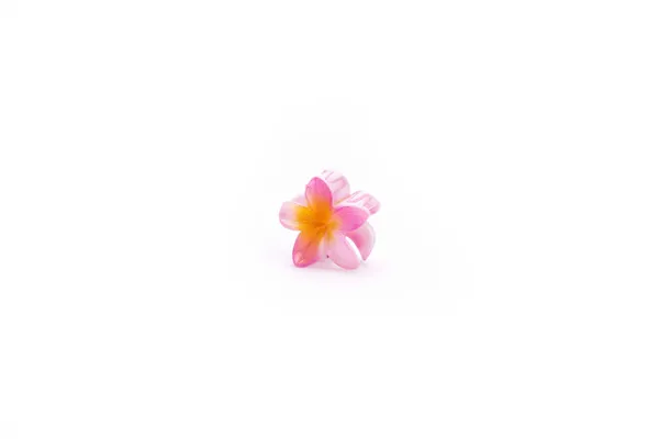 Shaded_Tropical_Small_Pink_Bloom_Large_Medium_Single