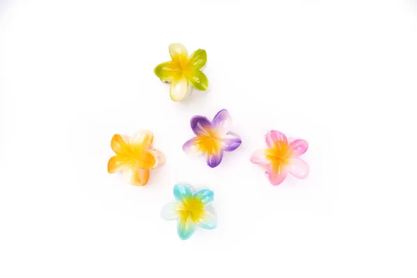 Shaded_Tropical_Small_Pink_Bloom_Large_Medium_Pack_Of_5