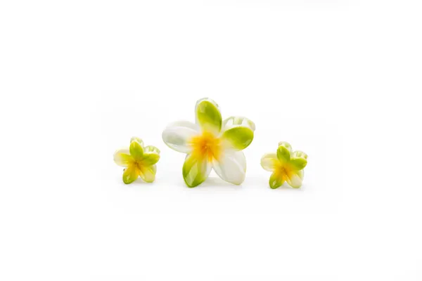 Shaded_Tropical_Family_Set_Green_Bloom_Large_Medium_Single